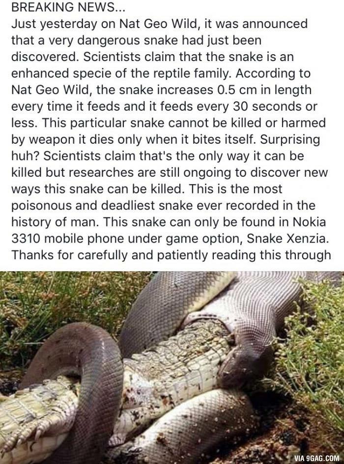 Deadliest SnAke of the World